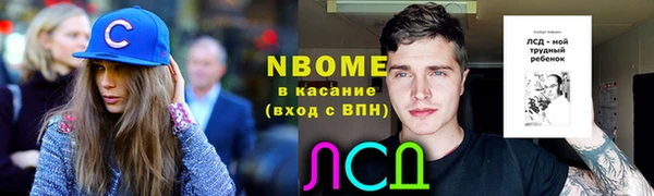 гашик Бородино