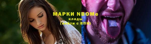 гашик Бородино