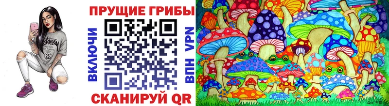 Галлюциногенные грибы прущие грибы  Купить закладки  Бикин 